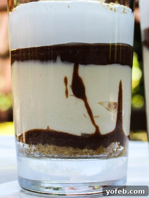 Effortless S'mores Cheesecake Bliss 4 Three mini S'mores Cheesecakes arranged beautifully on a serving tray