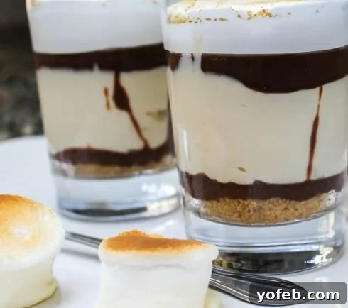 No Bake S'mores Cheesecakes from TheFoodCharlatan.com