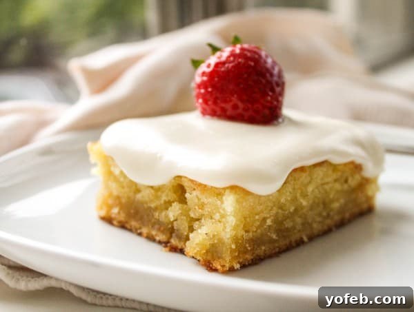 Golden Almond Sheet Delight 6 Almond Sheet Cake