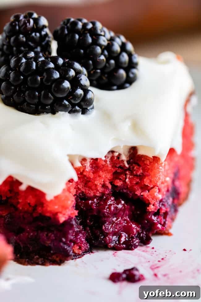 Blackberry Cake with Coconut Cream Cheese Frosting - Easy, moist, and vibrant dessert with fresh or frozen blackberries. A slice of vibrant blackberry cake with cream cheese coconut frosting, showcasing its beautiful pink interior and fresh blackberries on top.