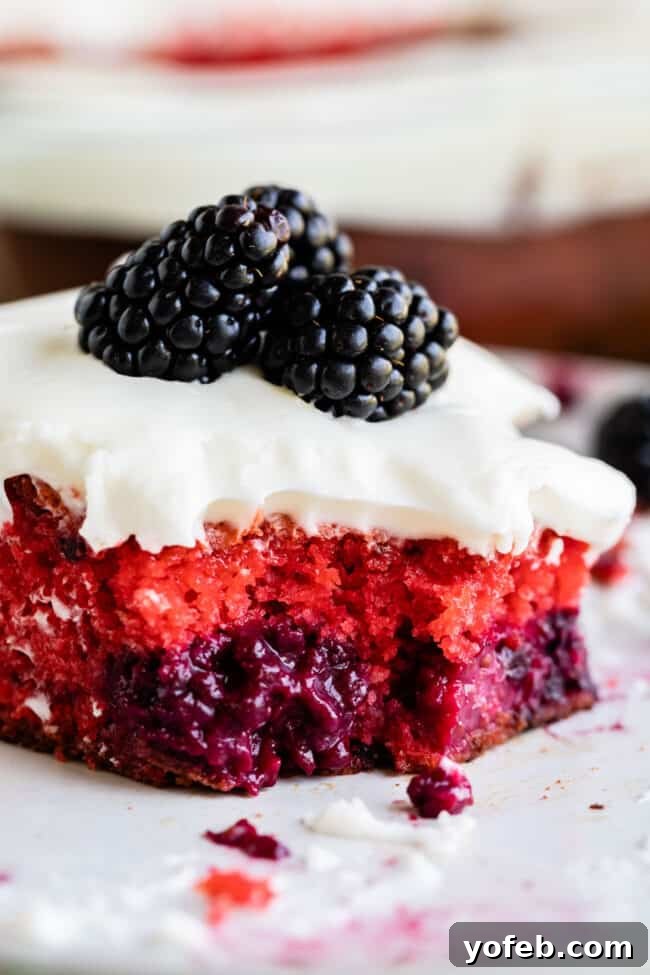 Easy Blackberry Cake with Coconut Cream Cheese Frosting - Perfect for summer. A close-up of a large slice of blackberry cake with creamy white frosting and fresh blackberries on top, showing the moist texture.