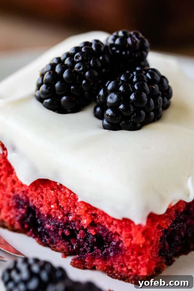 Blackberry Cake Recipe - Simple ingredients for a delicious, family-friendly dessert. Whole blackberry cake topped with a generous layer of cream cheese coconut frosting and fresh blackberries, ready to be served.