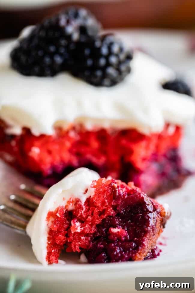 Blackberry Cake Recipes - Discover the easiest and most flavorful blackberry cake for any occasion. Another view of the blackberry cake, showing off its rich, pink hue and the fluffy cream cheese coconut frosting adorned with fresh berries.