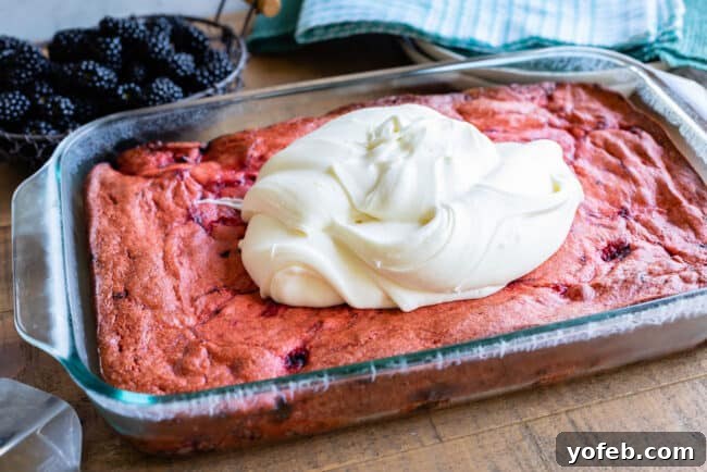 Blackberry Cake with Cream Cheese Coconut Frosting - A delightful dessert combining tangy berries and sweet, rich frosting. A beautifully frosted blackberry cake adorned with fresh blackberries, ready to be sliced and served.