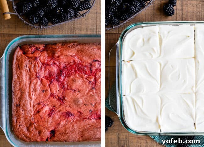 Simple Blackberry Cake - Homemade taste made easy with a cake mix base. A wide shot of the vibrant pink blackberry cake, topped with fluffy white frosting and fresh blackberries.