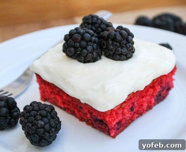 Classic Blackberry Cake - A timeless dessert for all occasions. An older photo of the blackberry cake, showing a slightly different angle but still highlighting its appealing pink color and frosted top.