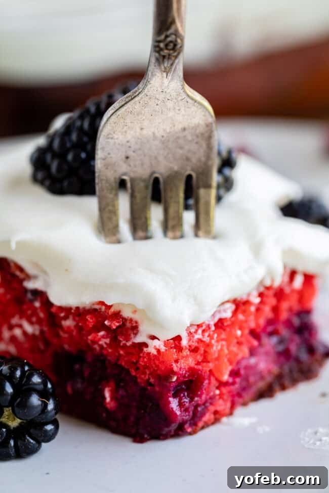 Homemade Blackberry Cake - Simple ingredients, maximum flavor. A beautifully presented slice of blackberry cake with coconut cream cheese frosting and fresh berries on a white plate, highlighting its rich color and texture.