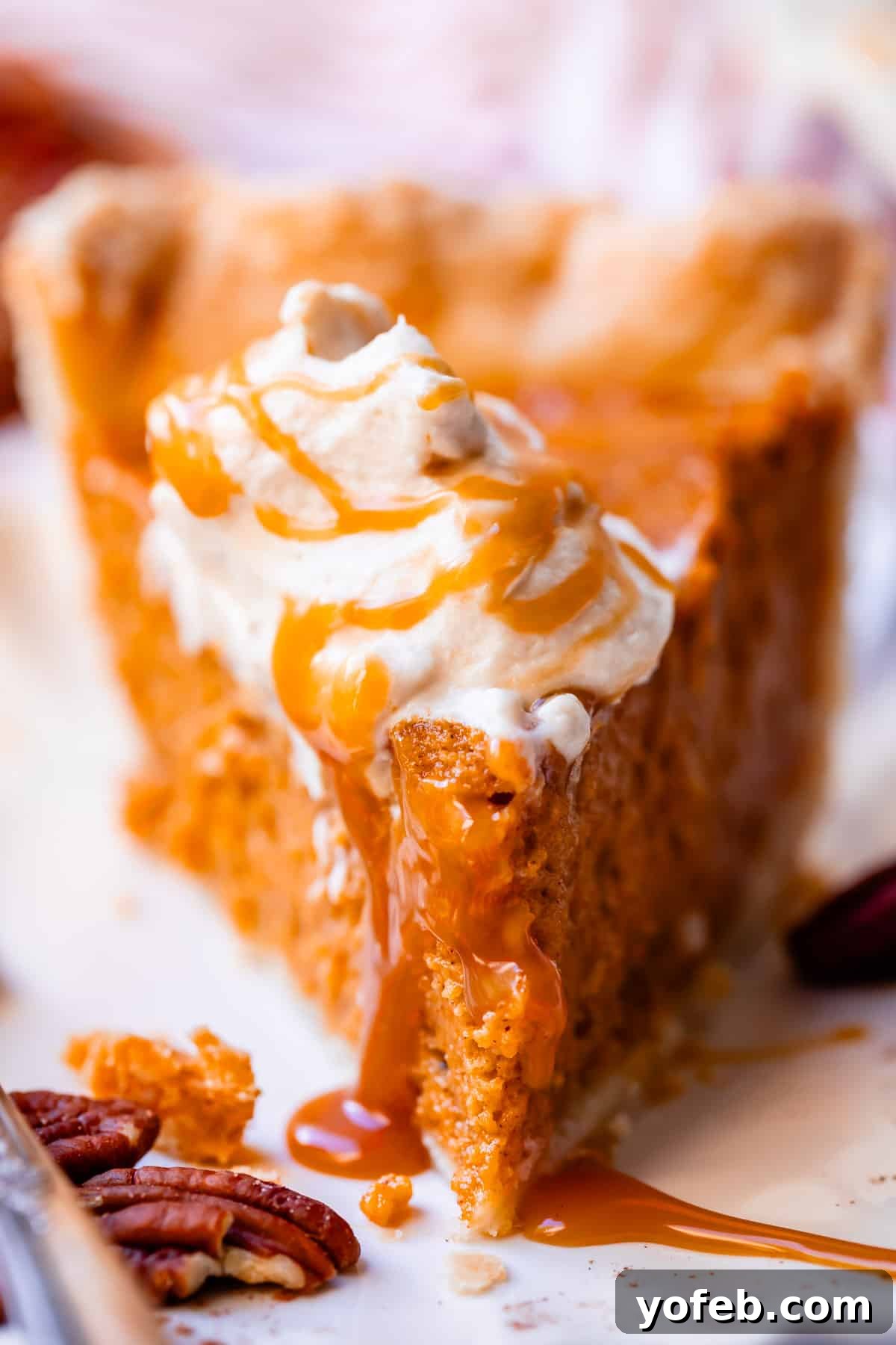 Golden Sweet Potato Pie Crowned with Salted Caramel Cream 29 slice of pie with a dollop of whipped cream and extra caramel drizzled over the top.
