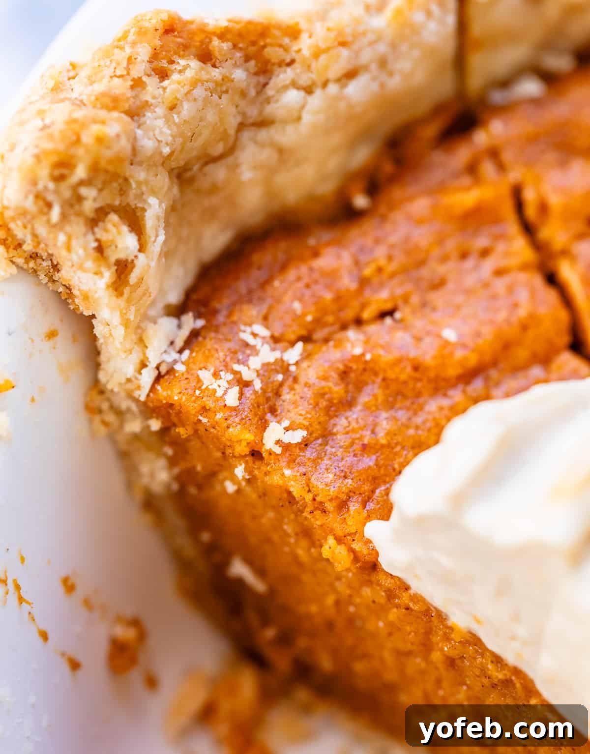 Golden Sweet Potato Pie Crowned with Salted Caramel Cream 7 close up of the flaky crust and dreamy texture of the filling of pie still in the pie pan.