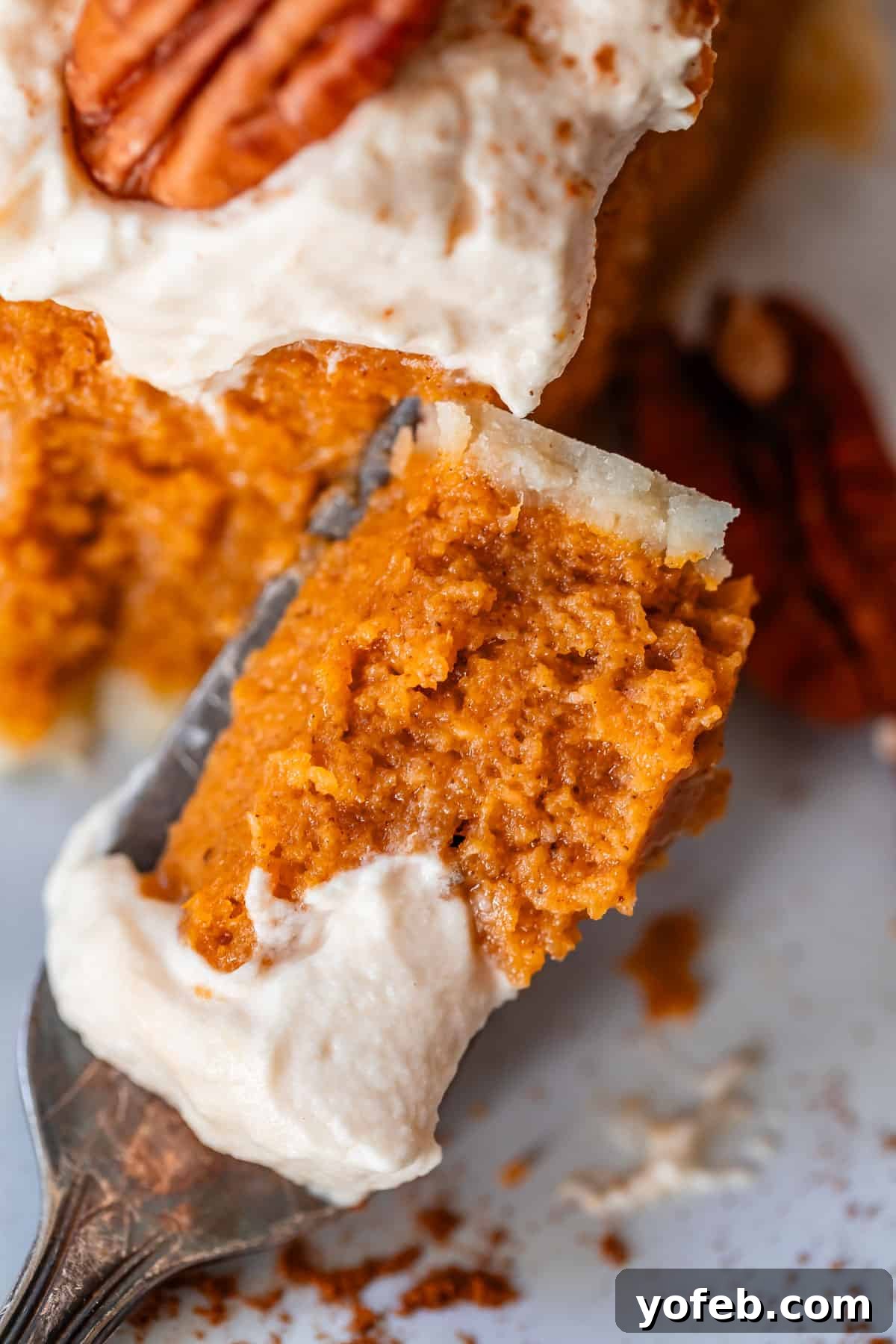 Golden Sweet Potato Pie Crowned with Salted Caramel Cream 8 metal fork holding a bite of homemade sweet potato pie with salted whipped cream.