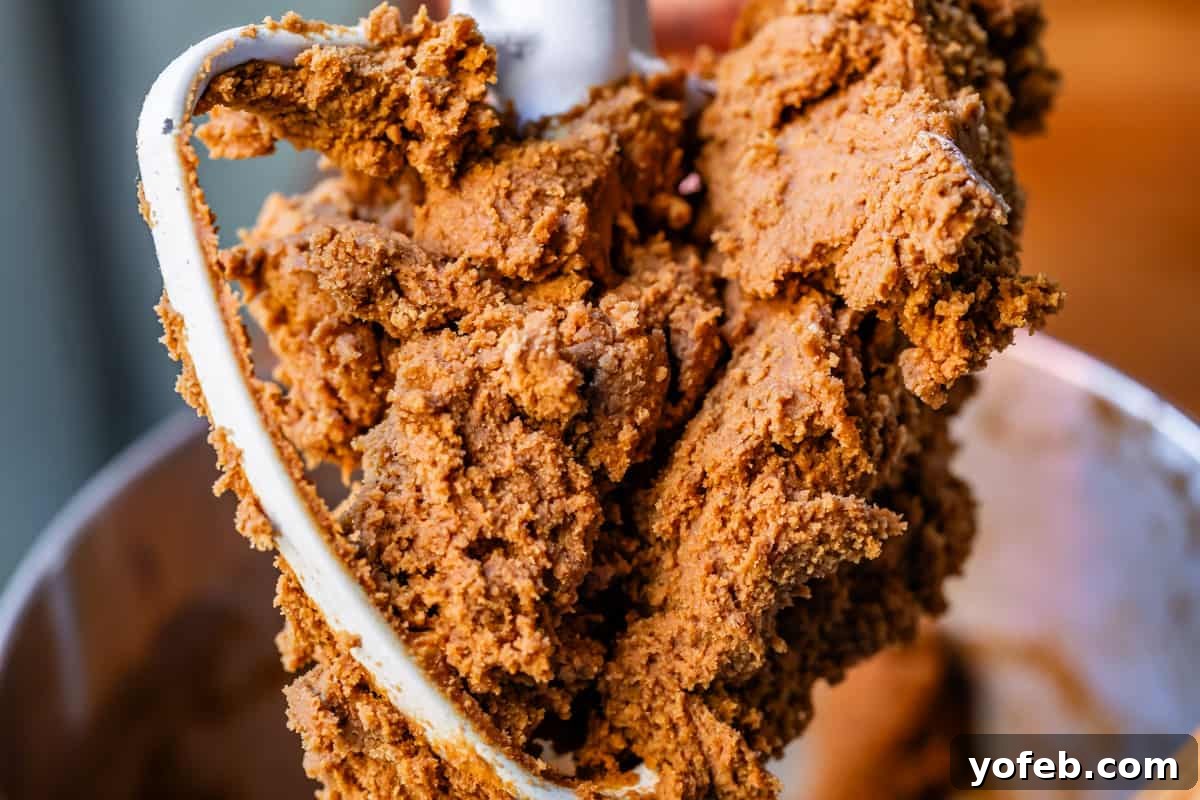 Perfectly Soft Chewy Gingerbread Men That Hold Their Shape 19 Thick and richly spiced gingerbread man cookie dough clinging to a stand mixer's dough hook, showcasing its perfect consistency.