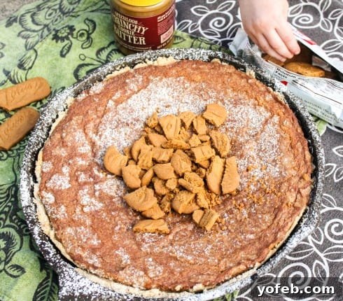 Golden Biscoff Gooey Butter Dream 5 Slice of Biscoff Gooey Butter Cake on a plate, with a toddler's hand reaching for it