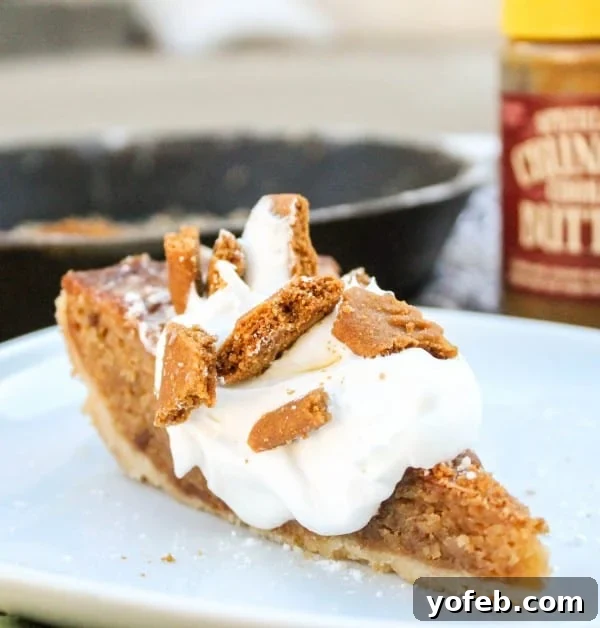 Biscoff Gooey Butter Cake from TheFoodCharlatan.com