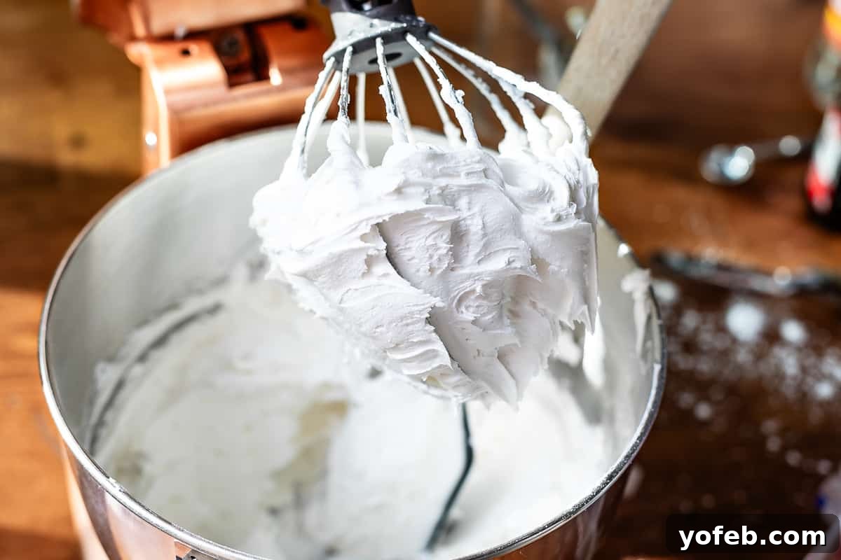 Beginner's Guide to Perfect Royal Icing 16 icing on whisk that looks really thick, almost like cement.