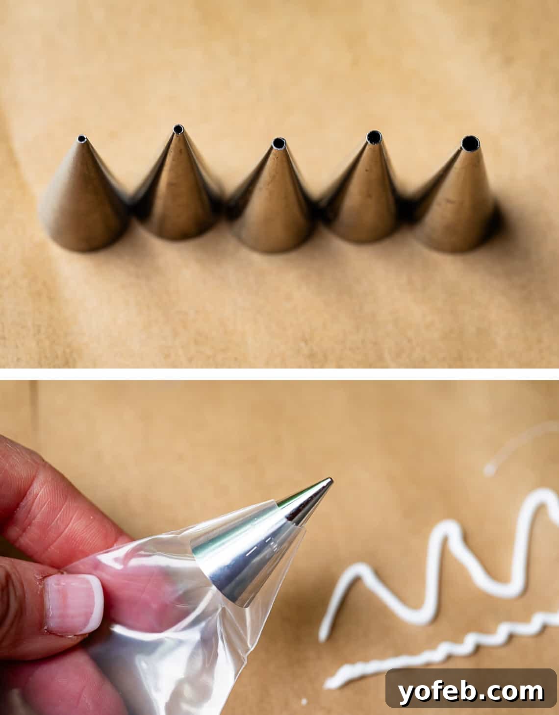Beginner's Guide to Perfect Royal Icing 24 top five frosting tips lined up, bottom, frosting tip inside empty icing bag.