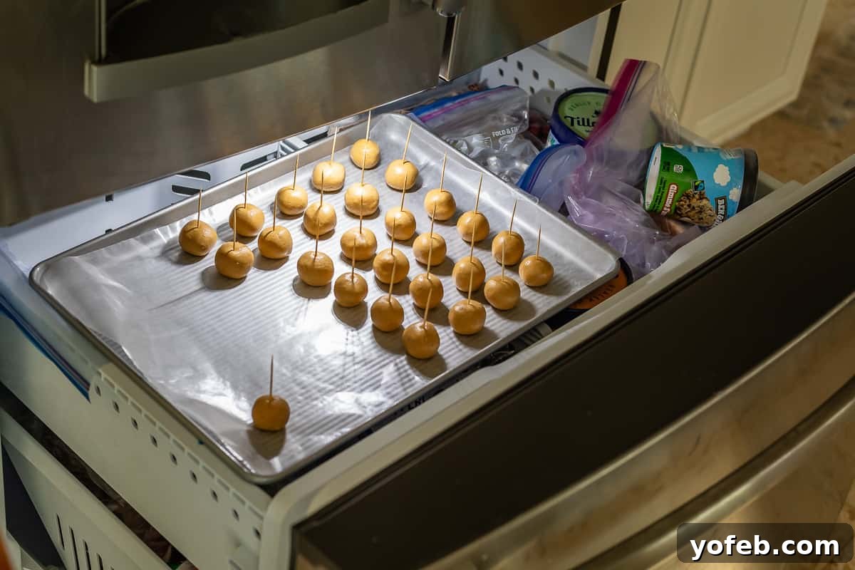 Irresistible Buckeye Ball Recipe 15 Baking sheet filled with peanut butter dough balls with toothpicks in them, placed in the freezer.