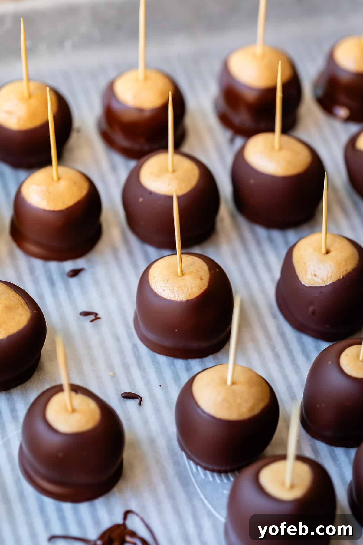 Irresistible Buckeye Ball Recipe 22 Baking sheet with dipped buckeyes, still with toothpicks inserted.