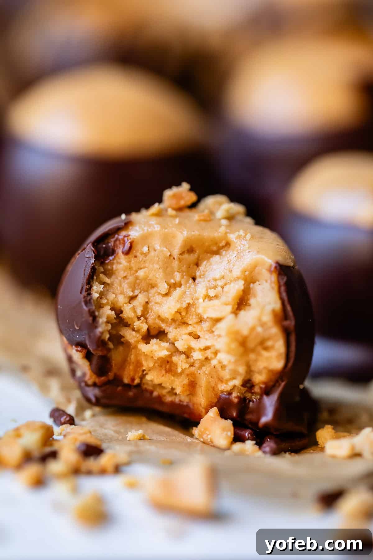 Irresistible Buckeye Ball Recipe 28 A peanut butter buckeye candy with a bite taken out, showing the soft center.