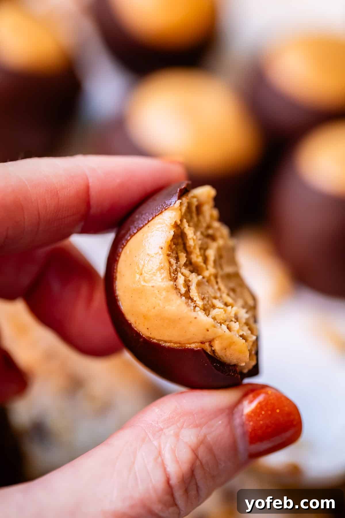 Irresistible Buckeye Ball Recipe 5 A buckeye candy with a bite taken out, held between fingers.