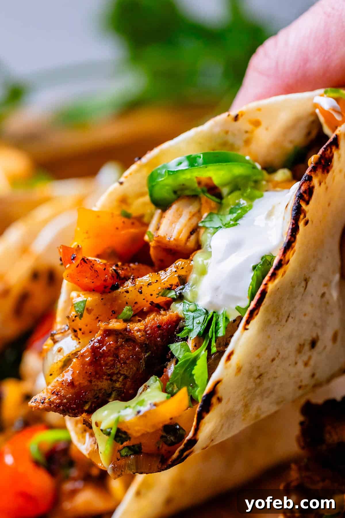 My Chicken Fajitas Awakening 22 a hand holding a chicken fajita stuffed tortilla, with sour cream and jalapeno on top.