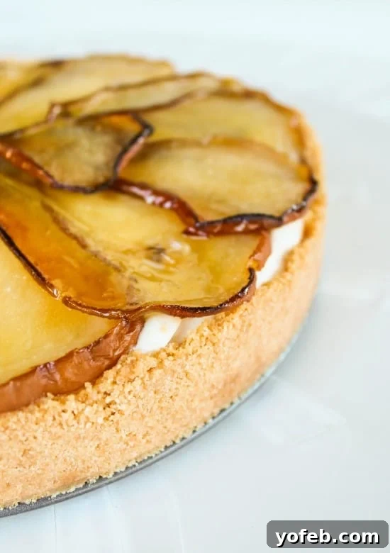 Roasted Pear and Maple Bliss Cheesecake 3 A close-up shot of the creamy maple cheesecake filling with roasted pear slices arranged on top, ready to be served.