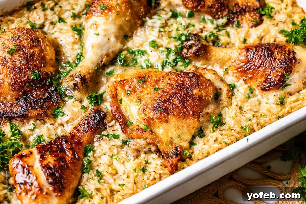 Grandma Georgia's Homestyle Chicken and Rice Bake 4 Close-up of golden-brown seared chicken pieces nestled in creamy, cooked rice within a casserole dish. This appetizing view highlights the rich texture and deep flavor of the homemade chicken and rice casserole, a comforting classic.