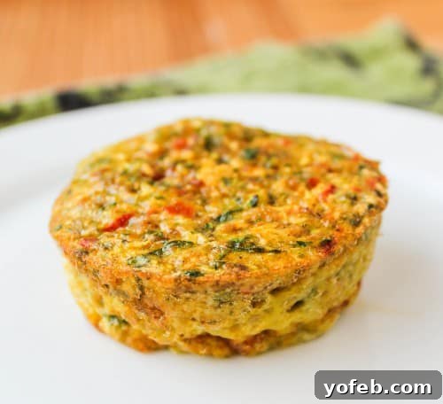 Garden Veggie Egg Bites 4 Assortment of finely chopped vegetables for egg cups