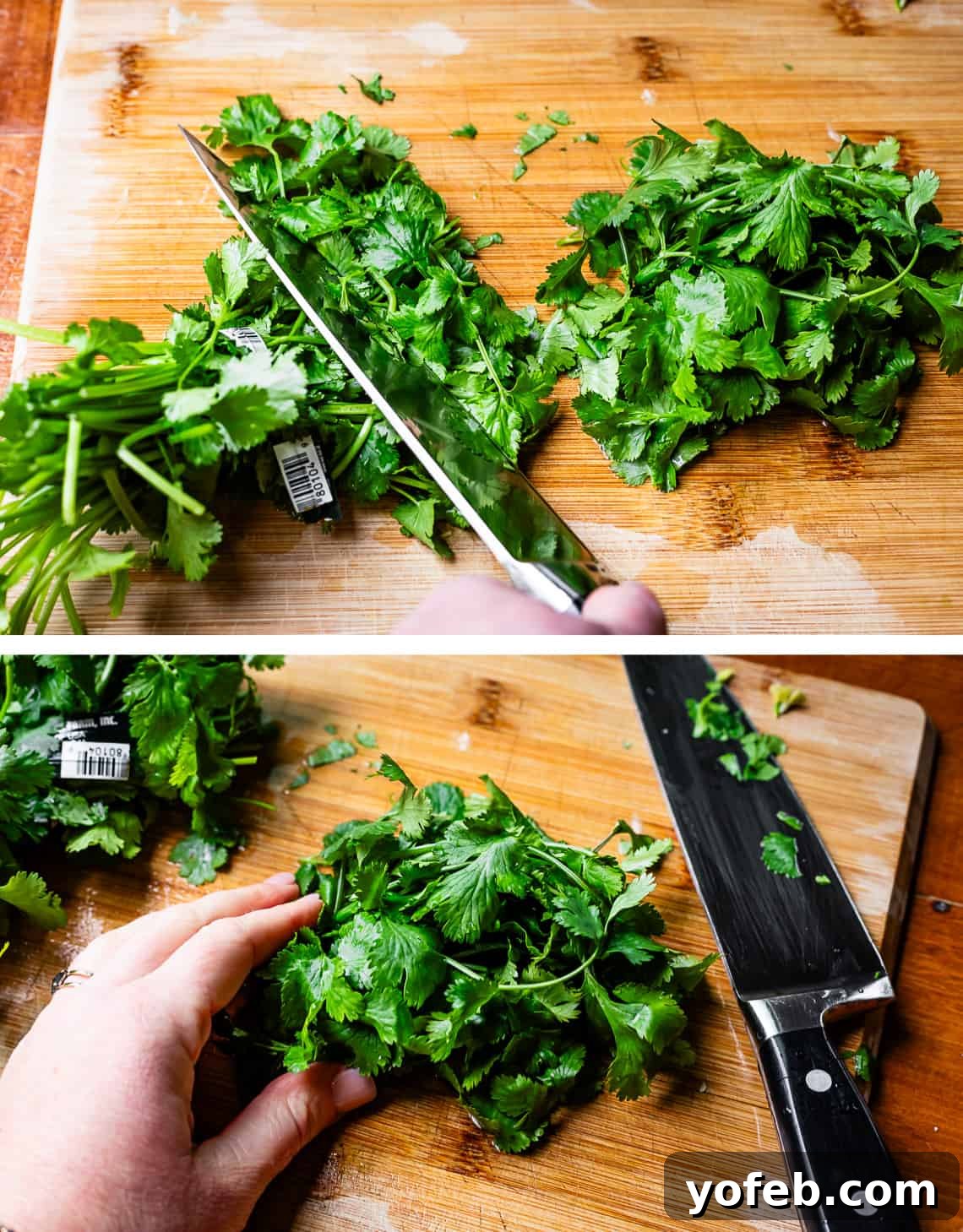 The Ultimate Green Goddess Salad 12 top chefs knife chopping cilantro off bottoms, bottom chopping entire bunch.