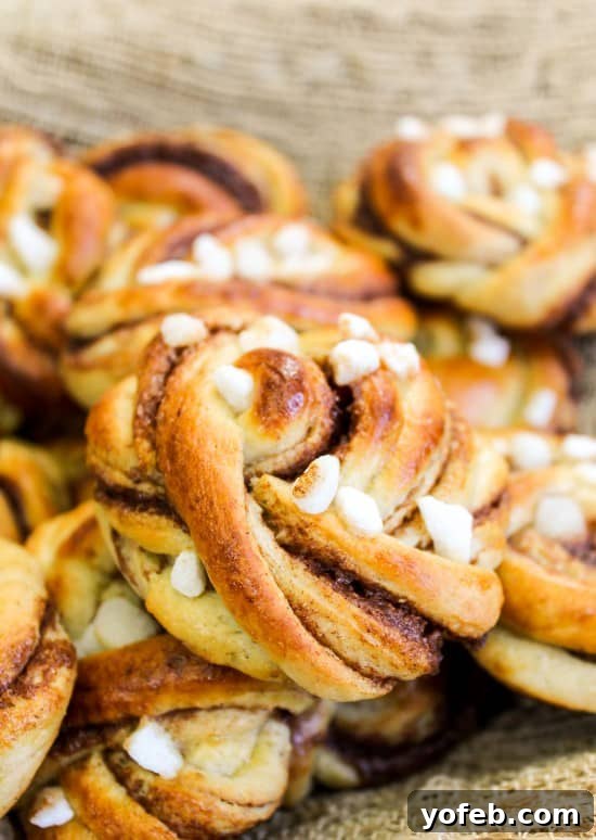 Swedish Cardamom Cinnamon Buns 5 Swedish Cinnamon Buns, freshly baked