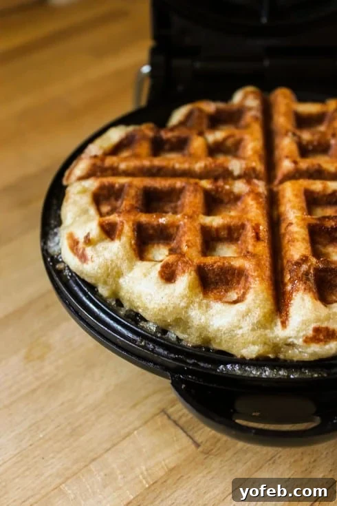 Old Photo of Liege Waffle in Progress A Liege waffle being cooked in a waffle iron, showcasing the raw dough transforming into a golden treat.