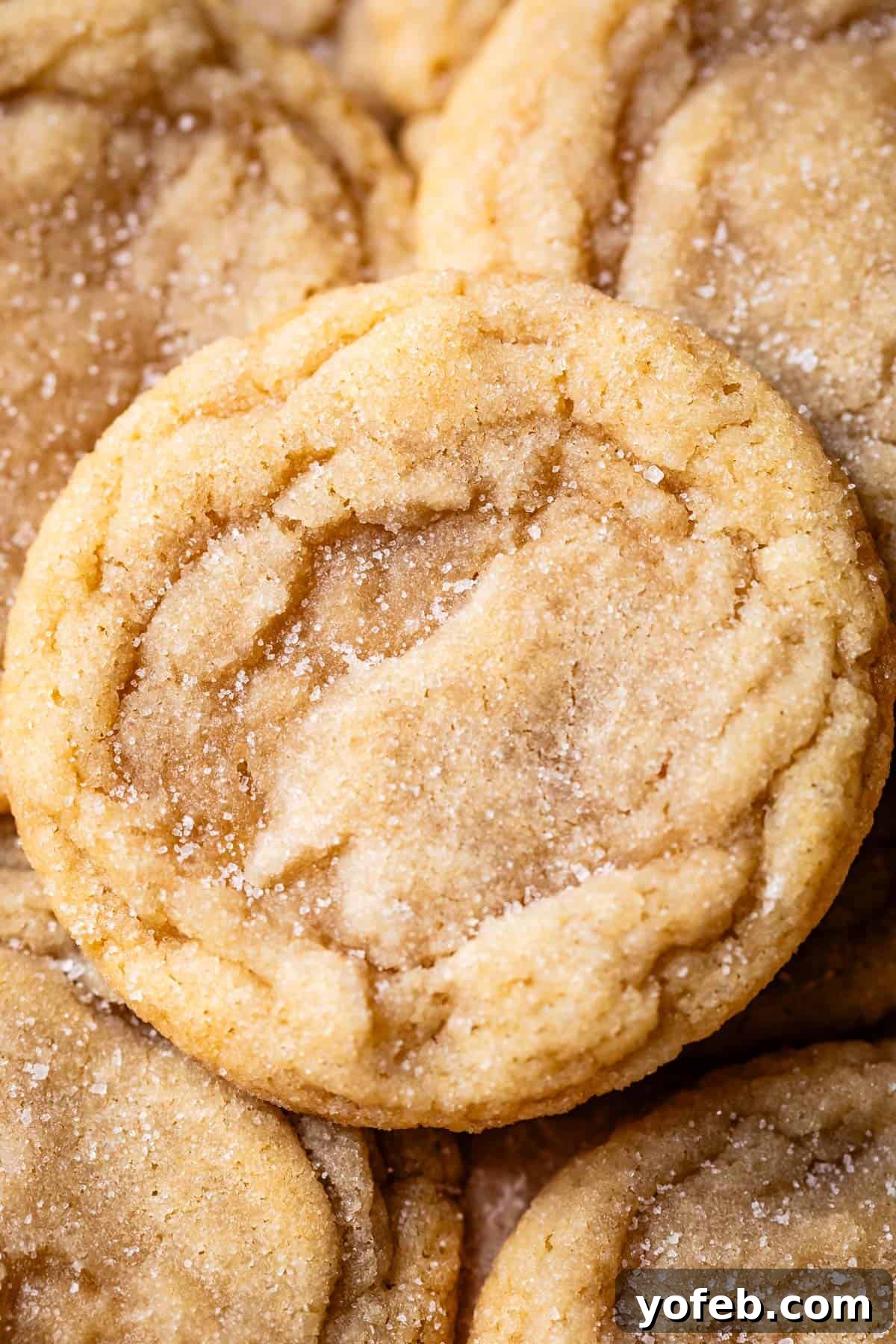 No Roll Chewy Sugar Cookies 30 Minute Recipe 2 A close-up of a perfectly baked drop sugar cookie resting on a small pile of other freshly baked sugar cookies.