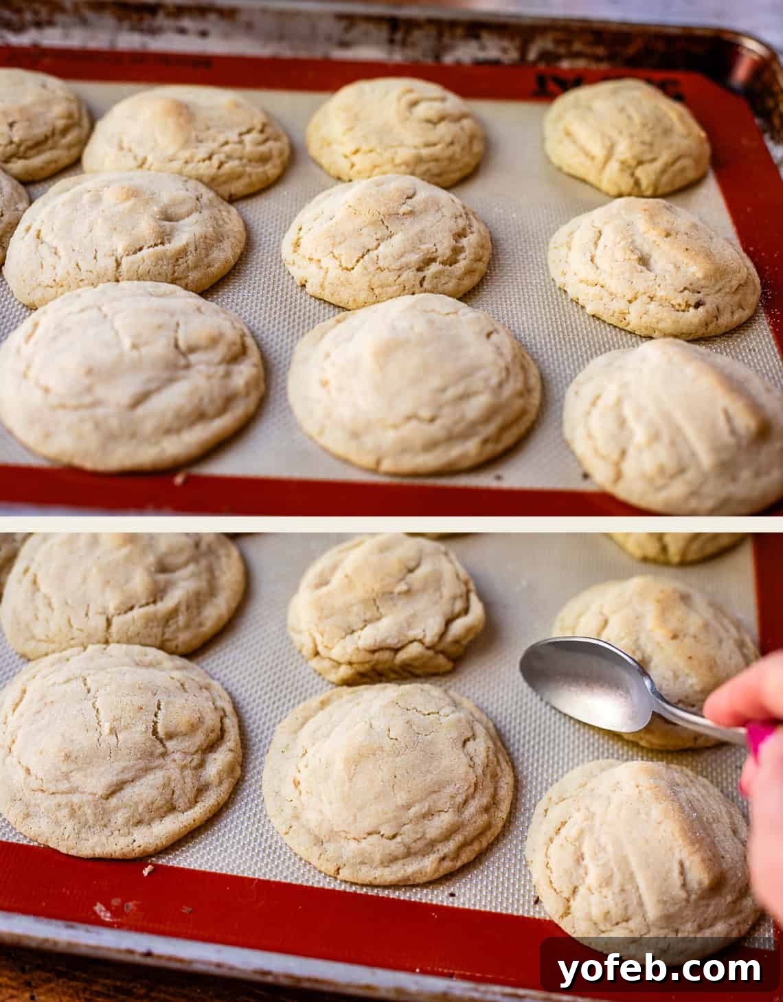No Roll Chewy Sugar Cookies 30 Minute Recipe 15 Top image: Puffy, baked cookies fresh out of the oven on a baking pan. Bottom image: A hand holding a spoon over the hot cookies, ready for shaping.