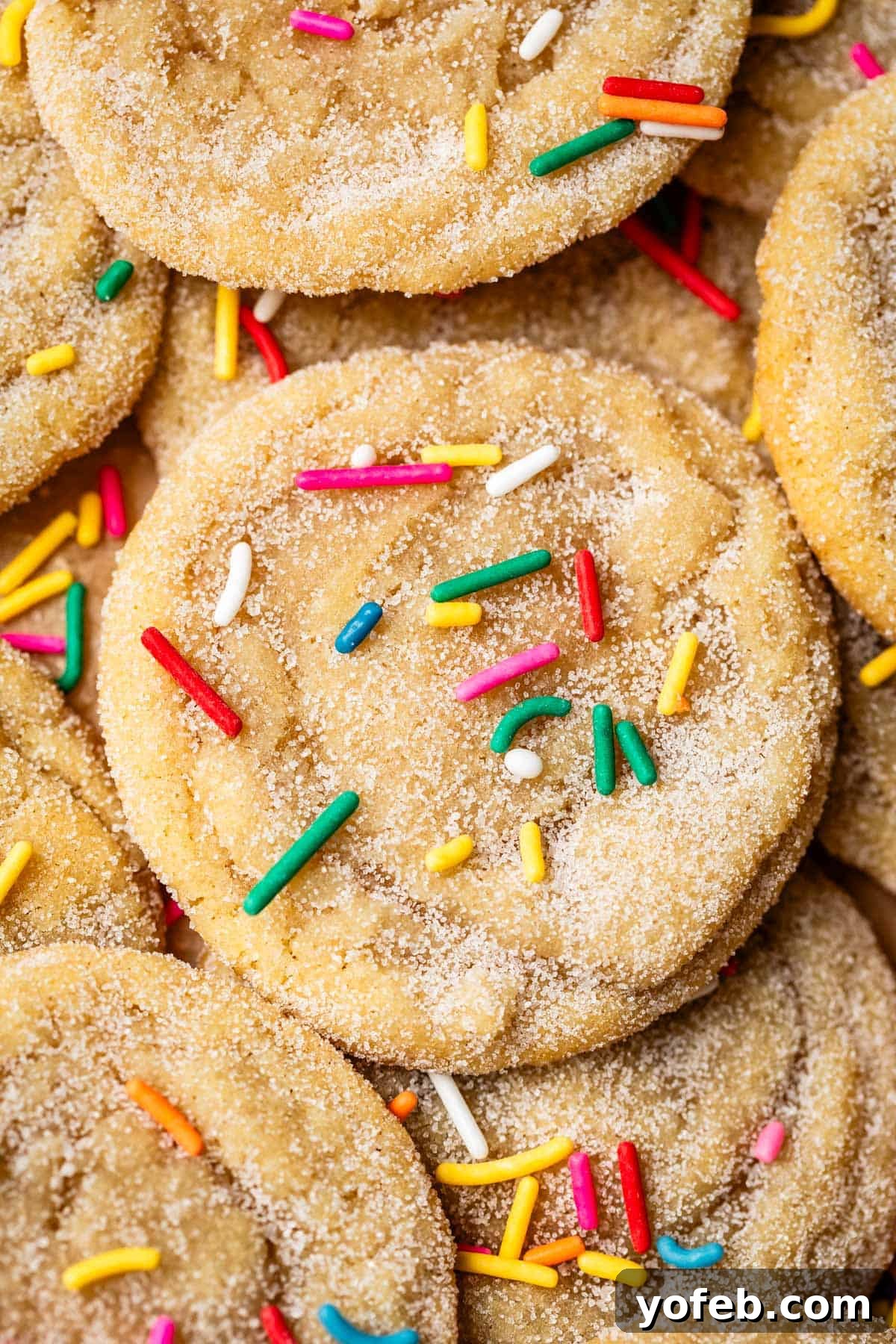 No Roll Chewy Sugar Cookies 30 Minute Recipe 19 A loose pile of no roll sugar cookies, all adorned with colorful rainbow sprinkles.