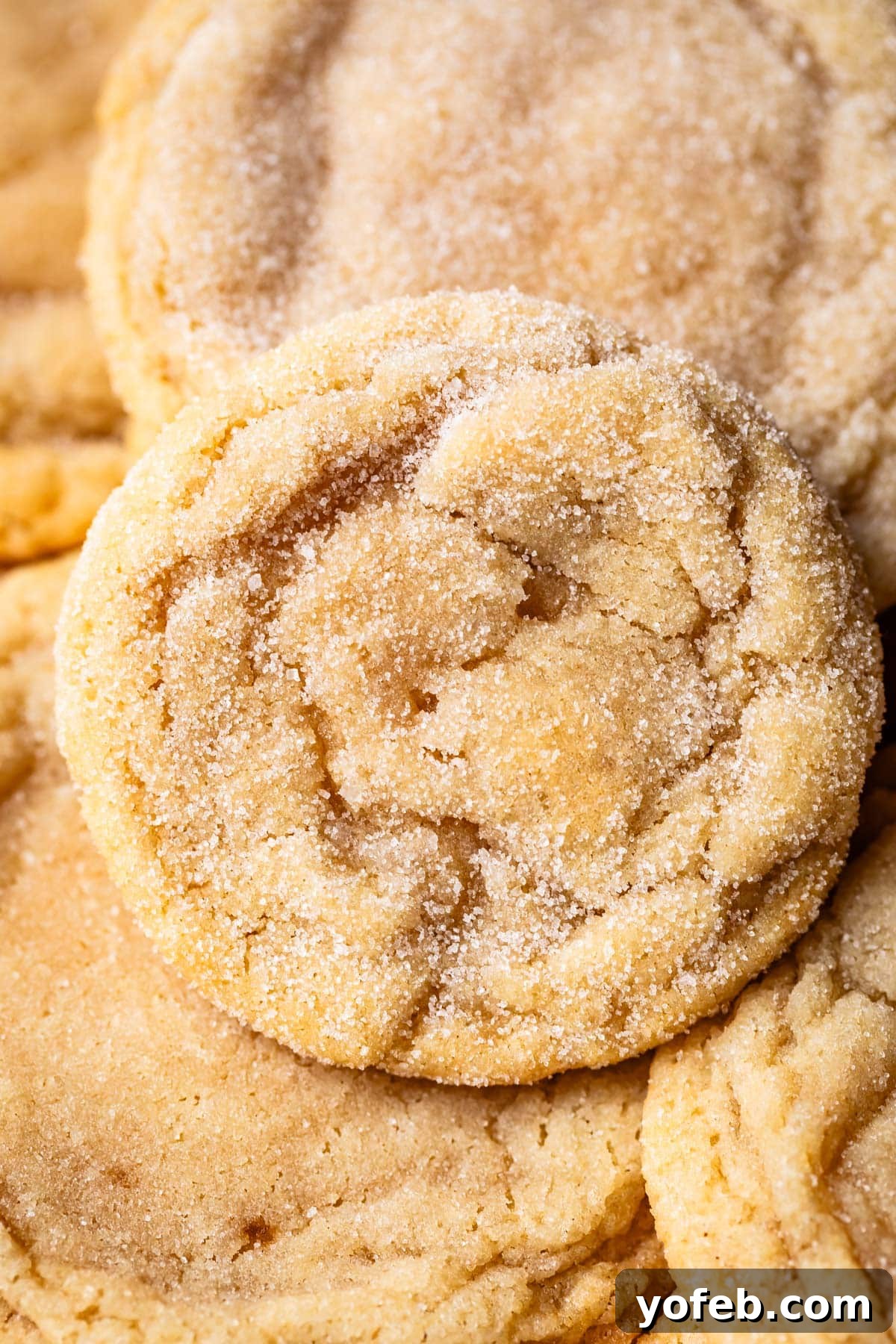 No Roll Chewy Sugar Cookies 30 Minute Recipe 20 A close-up of a perfectly baked drop sugar cookie resting on a pile of other warm sugar cookies.