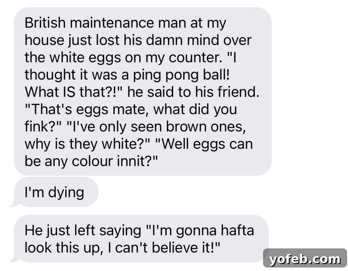 No Roll Chewy Sugar Cookies 30 Minute Recipe 3 A screenshot of a text message conversation about white eggs versus brown eggs, highlighting a cultural difference.