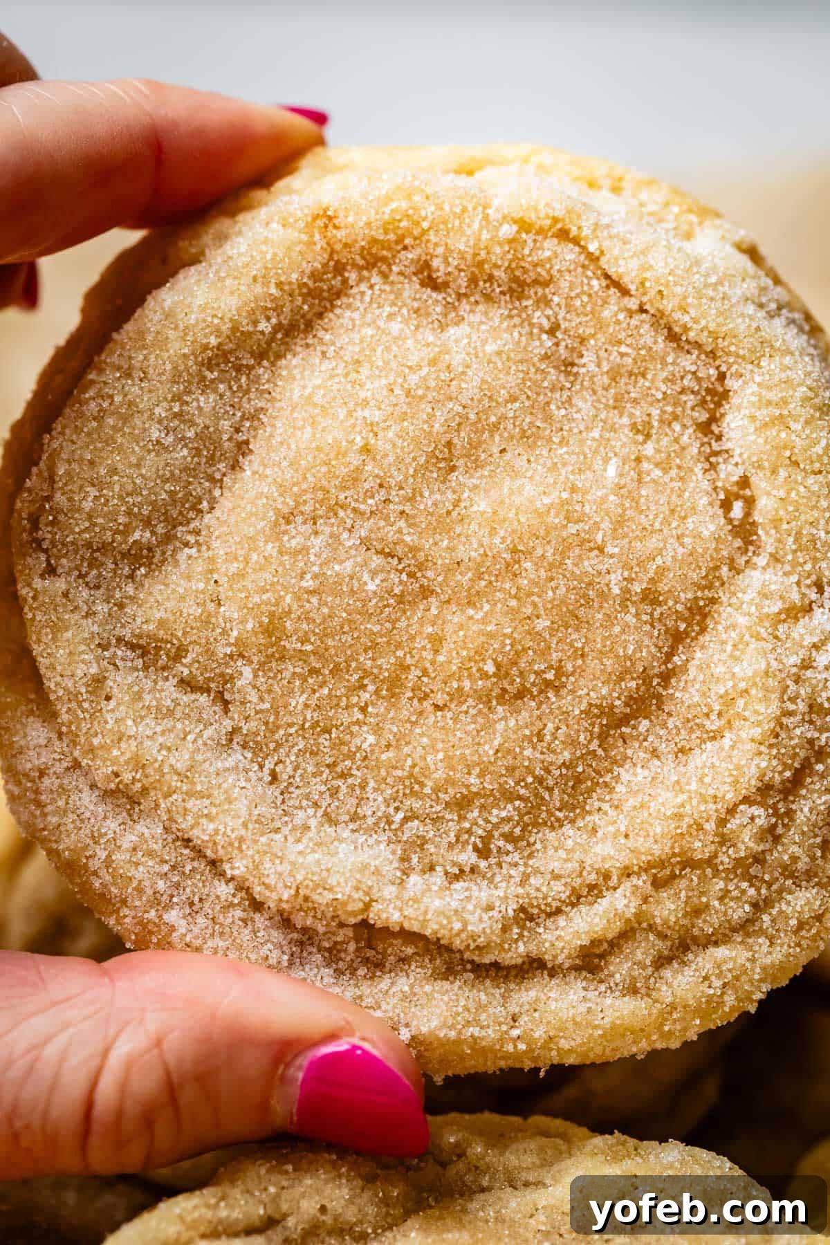 No Roll Chewy Sugar Cookies 30 Minute Recipe 6 A finger and thumb delicately holding a very close-up view of a perfectly textured drop sugar cookie.