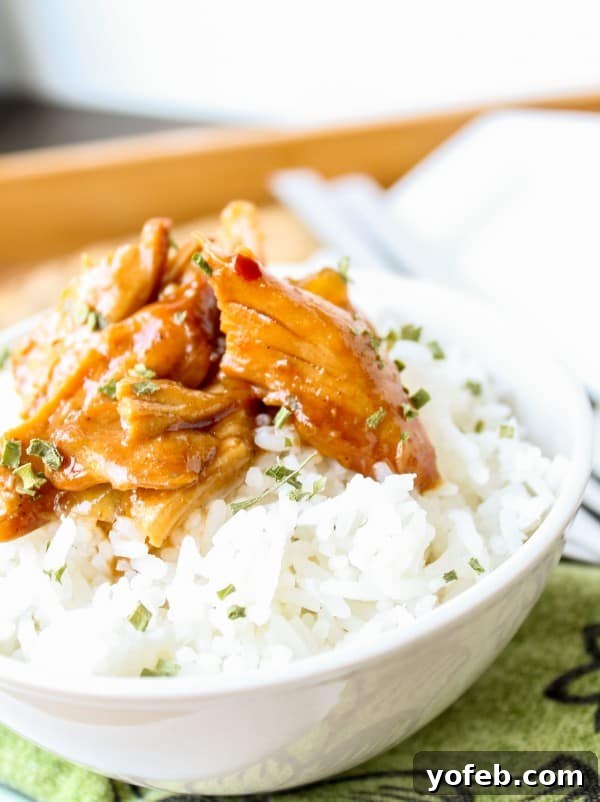 Crockpot Teriyaki Chicken and Rice Bowls 3 Close-up of shredded Teriyaki Chicken, ready to be tossed with sauce