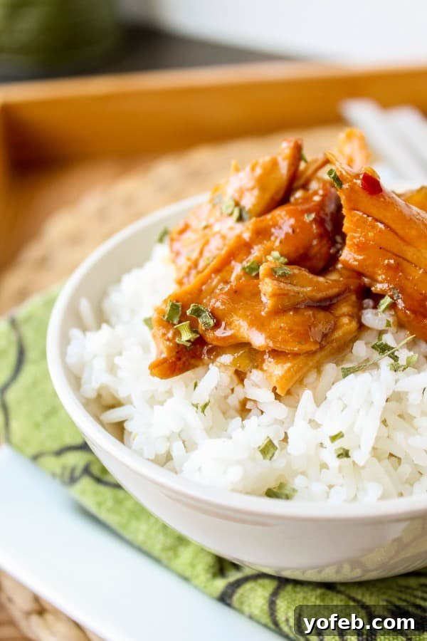 Crockpot Teriyaki Chicken and Rice Bowls 7 Teriyaki Chicken Rice Bowls from The Food Charlatan