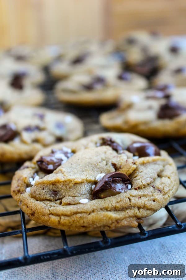 Decadent Caramel Butterscotch Cookies 2 Golden brown butterscotch caramel cookies cooling on a wire rack, showcasing their perfect texture and hints of caramel. These irresistible cookies are a must-try for any dessert lover.