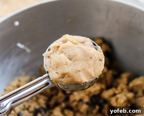 Decadent Caramel Butterscotch Cookies 13 Butterscotch caramel cookie dough in a scoop, with a small piece of plain dough patched over an exposed chocolate caramel chunk to prevent oozing.