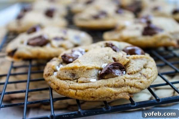 Brown Butter Sea Salt Butterscotch Cookies