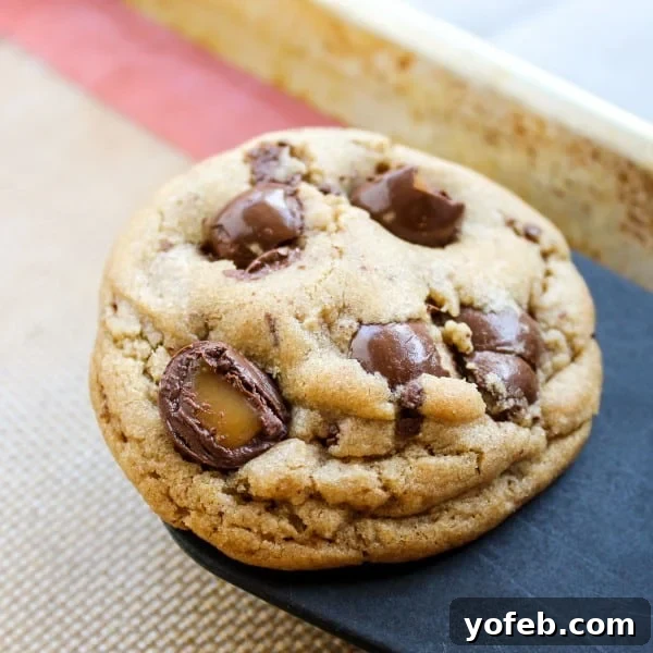 Decadent Caramel Butterscotch Cookies 4 A close-up of a single brown butter butterscotch caramel cookie on a baking sheet, with visible chunks of melted caramel, inviting a bite.