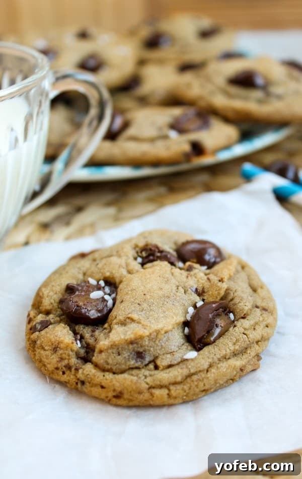Decadent Caramel Butterscotch Cookies 9 A single brown butter butterscotch caramel cookie artfully placed in front of a full plate of cookies and a refreshing glass of milk, inviting a delightful indulgence.