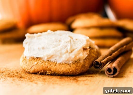 Delicate Pumpkin Cookies with Cinnamon Cream Cheese Frosting 2 Delicate Pumpkin Cookies with Cream Cheese Frosting, perfectly baked and garnished.