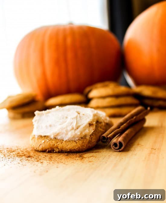 Pumpkin Cookies with Cream Cheese Frosting Soft Pumpkin Cookies with Cream Cheese Frosting, arranged beautifully.