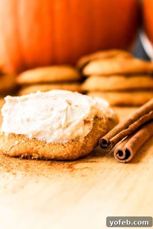 Pumpkin Cookies with Cream Cheese Frosting Moist Pumpkin Cookies with a generous dollop of cream cheese frosting.