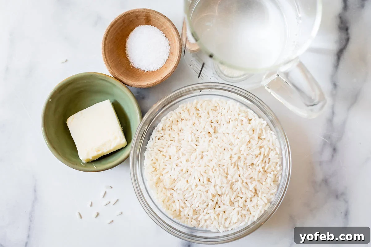 Perfect Stovetop Rice Every Time 6 Carefully measured ingredients for cooking rice: salt, butter, dry white rice, and water, arranged for preparation.