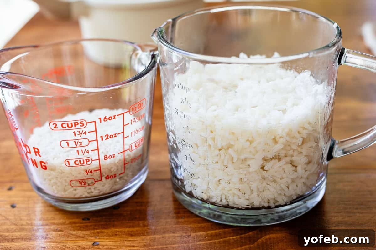 Perfect Stovetop Rice Every Time 8 Comparison of 1 cup dry rice versus 3 cups cooked rice shown in glass measuring cups, highlighting the expansion.