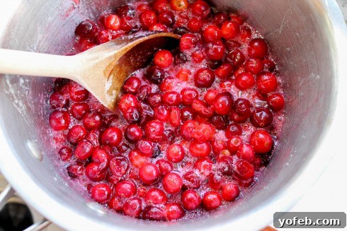 Finished cranberry sauce with barely split cranberries and dissolved sugar.