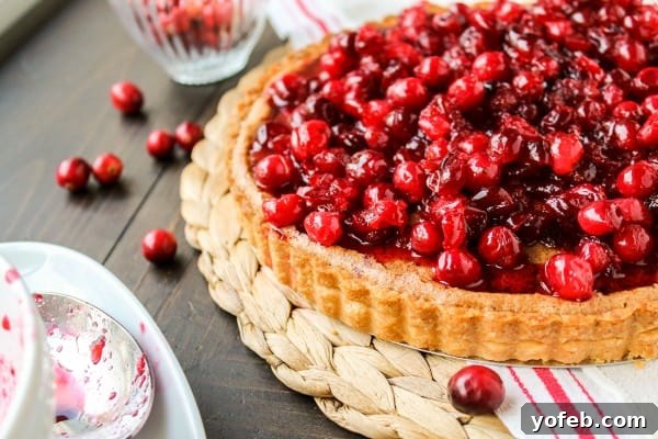 Nutty Brown Butter Cranberry Tart 3 Close-up of a rustic cranberry tart, showcasing its texture and festive colors.
